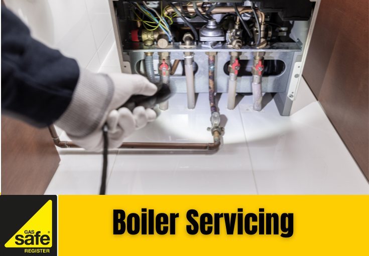 boiler service Herne Bay